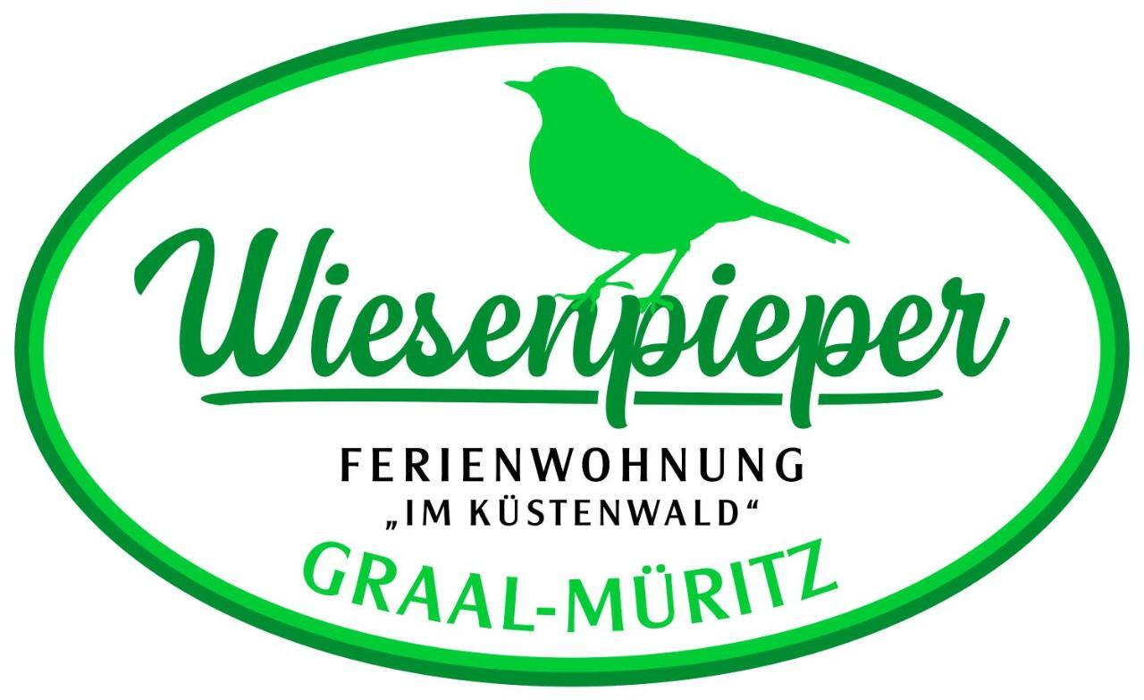 Ostsee-Wiesenpieper Граль-Мюриц Экстерьер фото